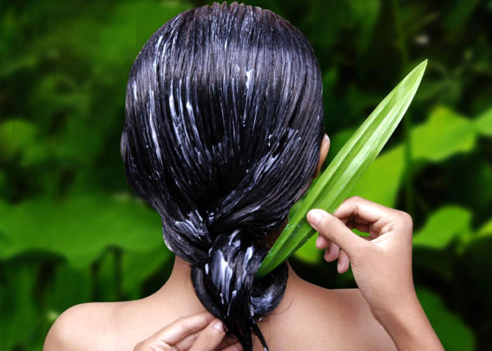 Benefits of Aloe Vera