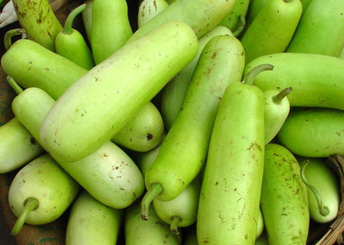 Bottle gourd treatment