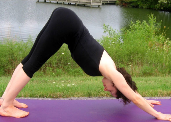 Beginner’s Types Of Hatha Yoga Poses | Yoga for Beginners