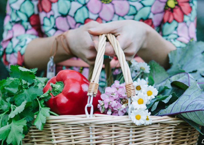 Insoluble And Soluble Fiber Foods