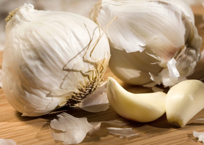 Garlic