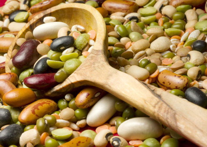 Legumes