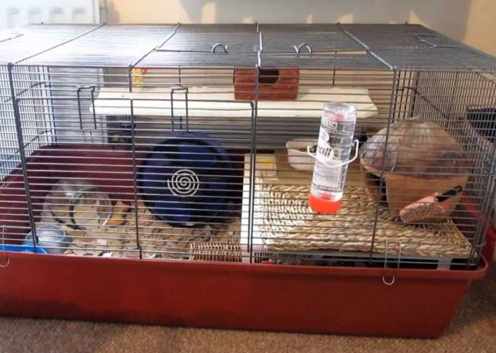 Cage for Hamster