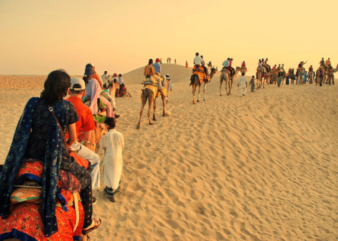 Camels to find love in Jaisalmer