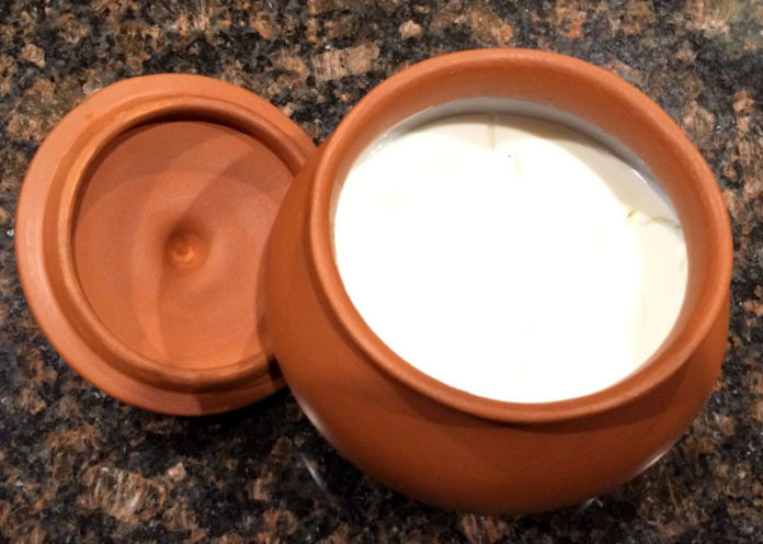 Curd or yogurt