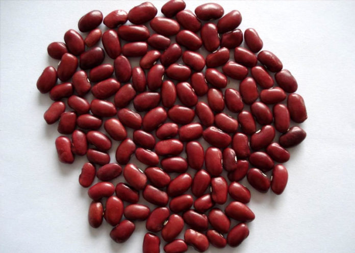 Kidney Beans