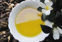 Camellia Oil Uses And Benefits