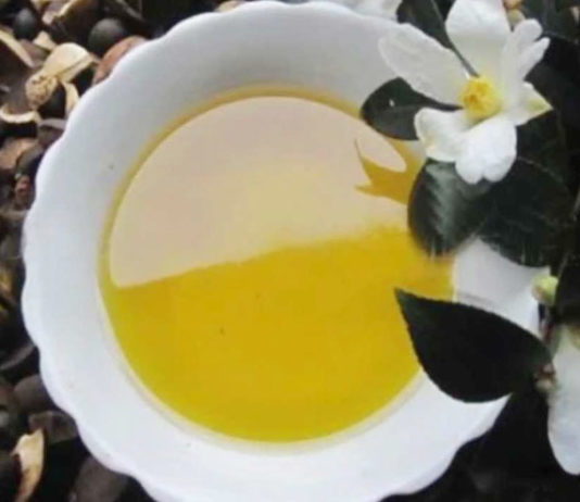 Camellia Oil Uses And Benefits
