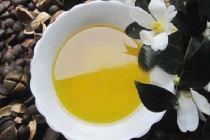 Camellia Oil Uses And Benefits