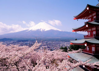 Save Money While Traveling In Japan