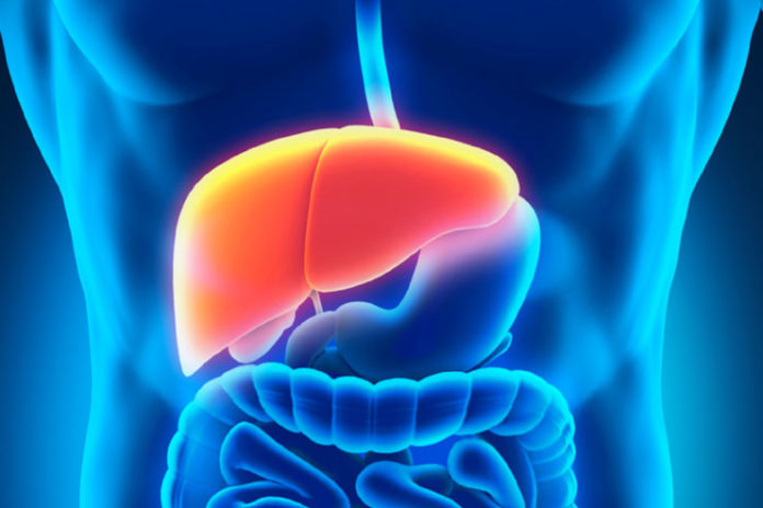 Effective Ways To Detox Your Liver