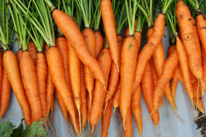 Carrots