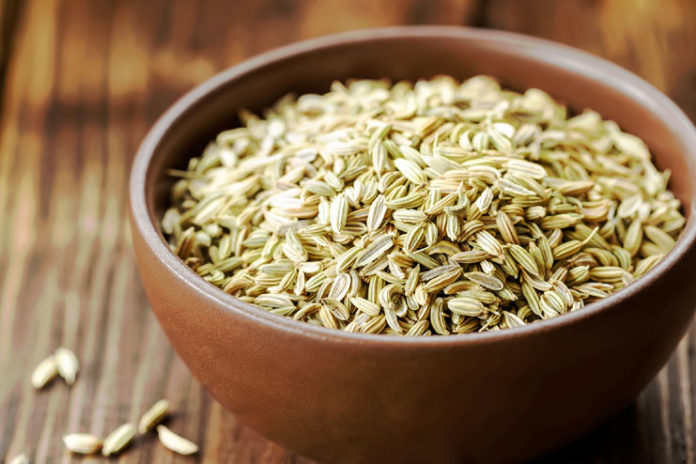 Fennel Seeds