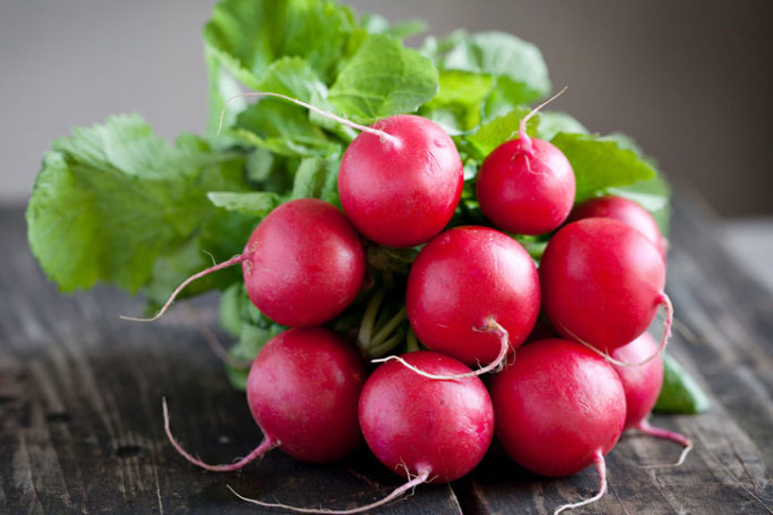 Radishes