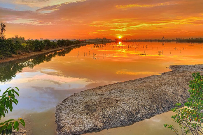 Sundarbans