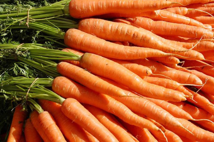 Carrots