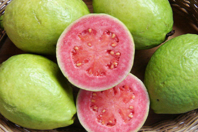 Guava