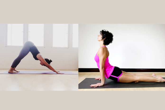 Urdhva Mukha Svanasana and Adho Mukha Svanasana