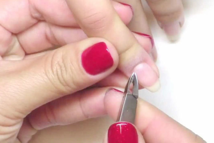 Cuticle Cutter