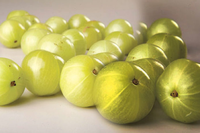 Amla or Indian Gooseberry