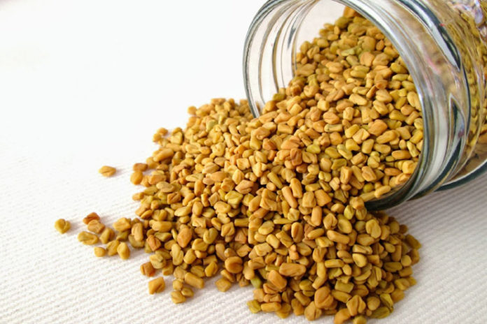 Methi or Fenugreek seeds