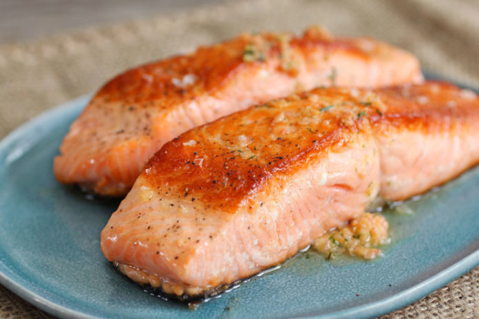 Salmon