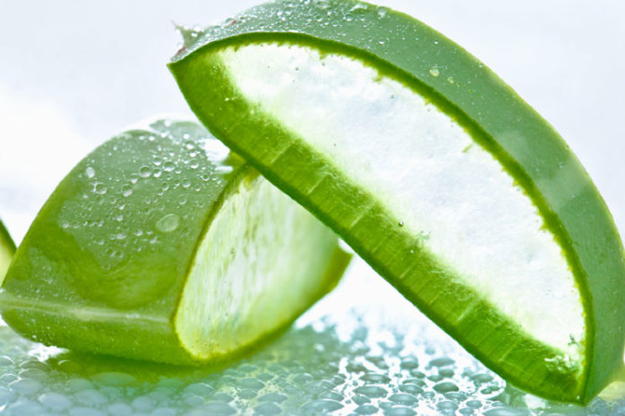 Aloe Vera Remedy