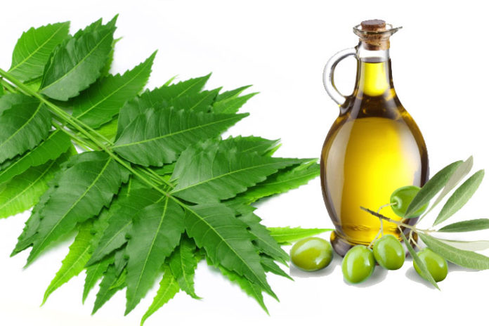 Neem and Olive Oil
