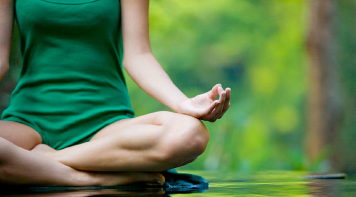 Types Of Yoga For Beginners