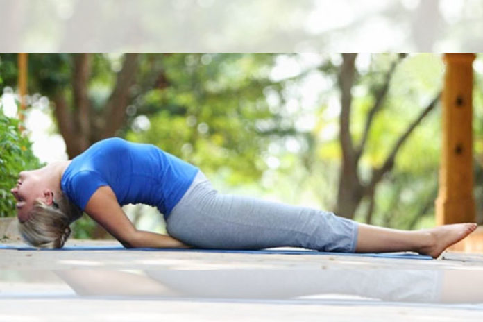 Matsyasana or Fish Pose