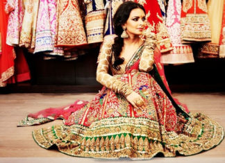 Colorful Bridal Lehenga-Choli Combination