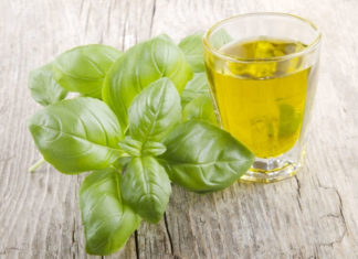 Basil (Tulsi) Oil For Beautiful Skin