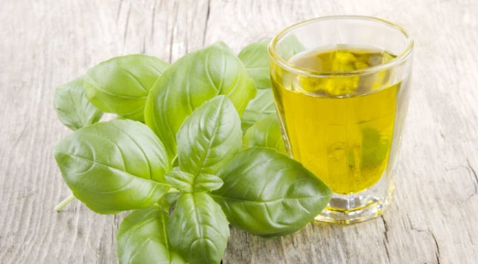 Basil (Tulsi) Oil For Beautiful Skin