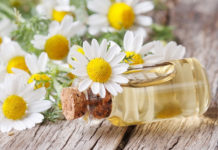 Chamomile Oil For Hair