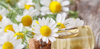 Chamomile Oil For Hair