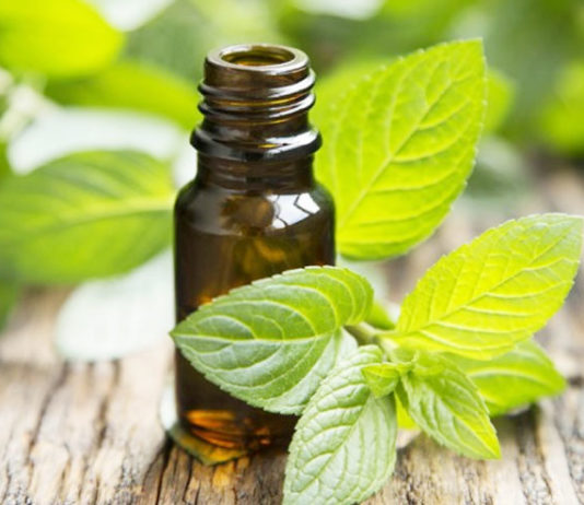 Peppermint Oil