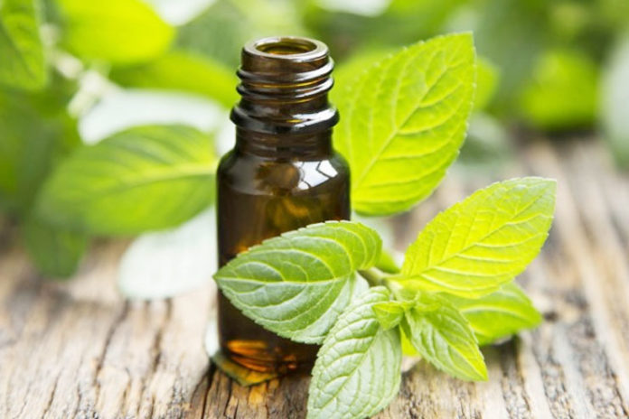 Peppermint Oil