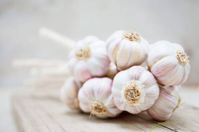 Garlic For Skin Care