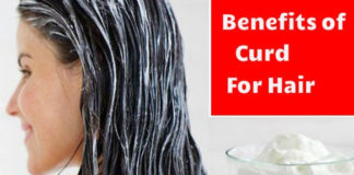 curd for hair