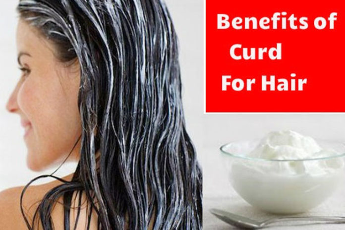 curd for hair