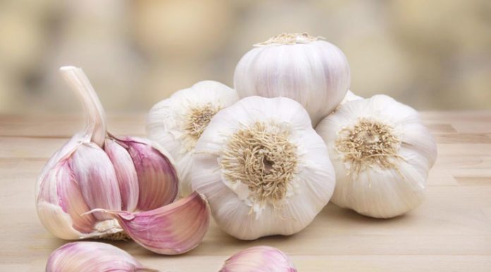 Beneficial Uses Of Garlic For Acne Scars