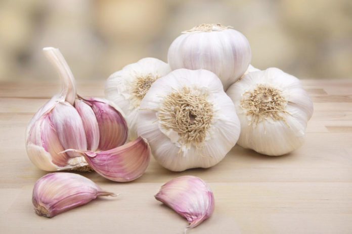 Beneficial Uses Of Garlic For Acne Scars