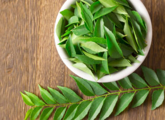 All Powerful Herb Neem For Acne Scars