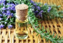 Rosemary Oil