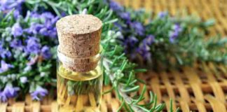 Rosemary Oil