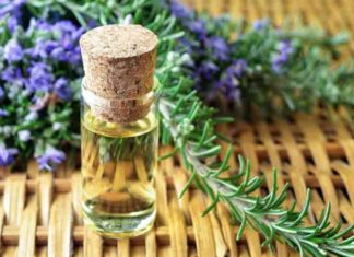 Rosemary Oil