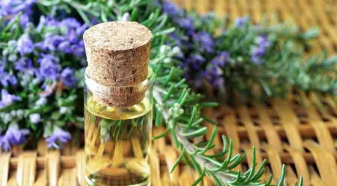 Rosemary Oil