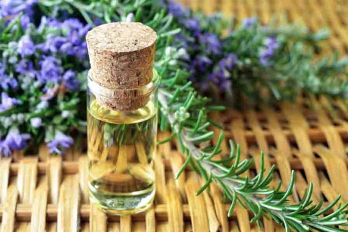 Rosemary Oil