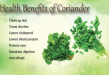 benefits of coriander