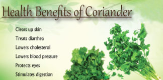 benefits of coriander